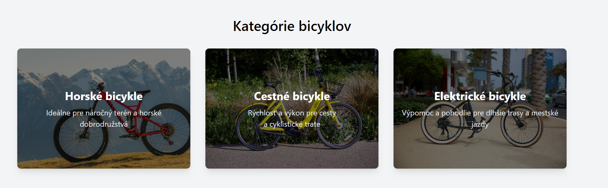 kategorie_bicyklov_uvodna_stranka