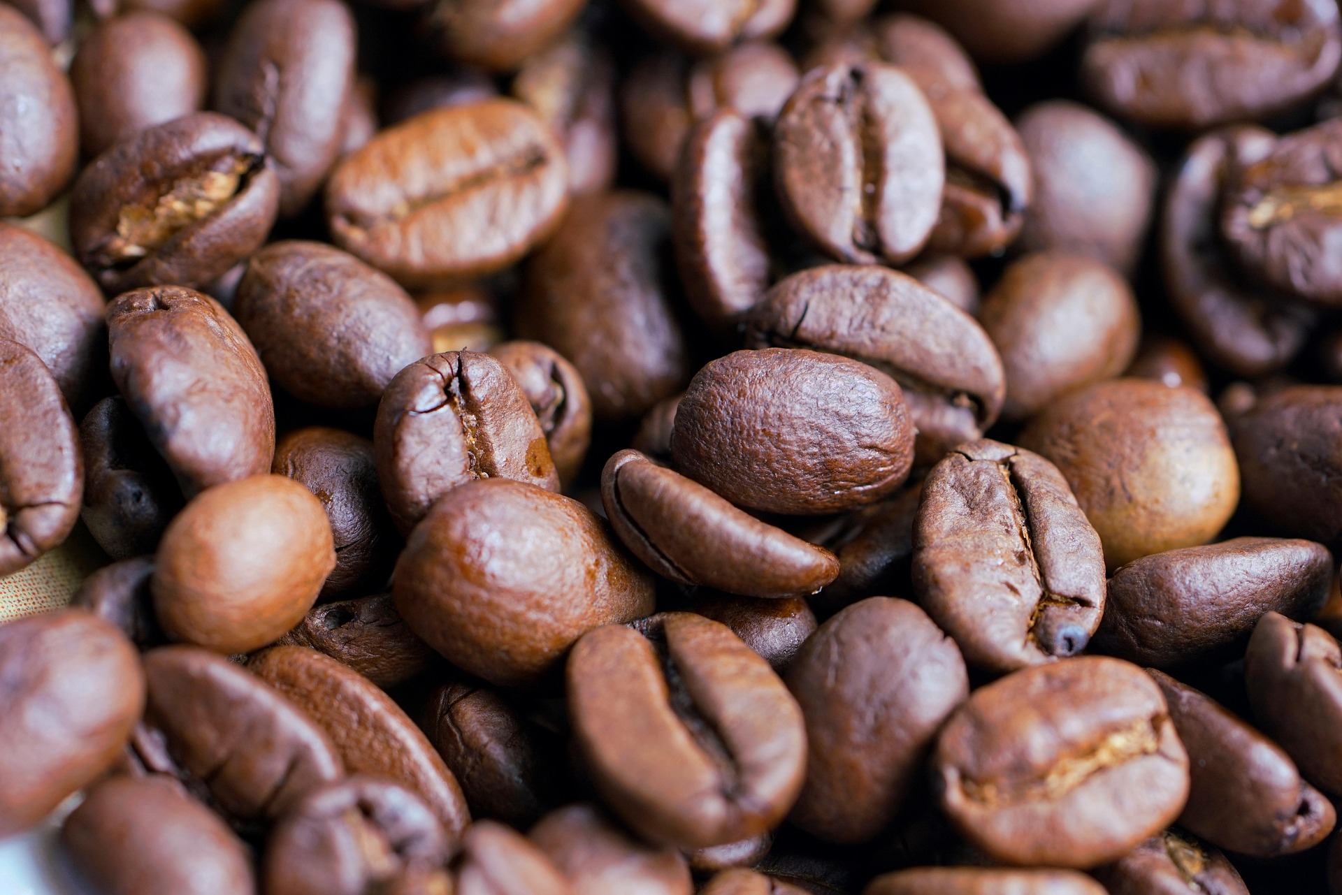 image of coffe beans