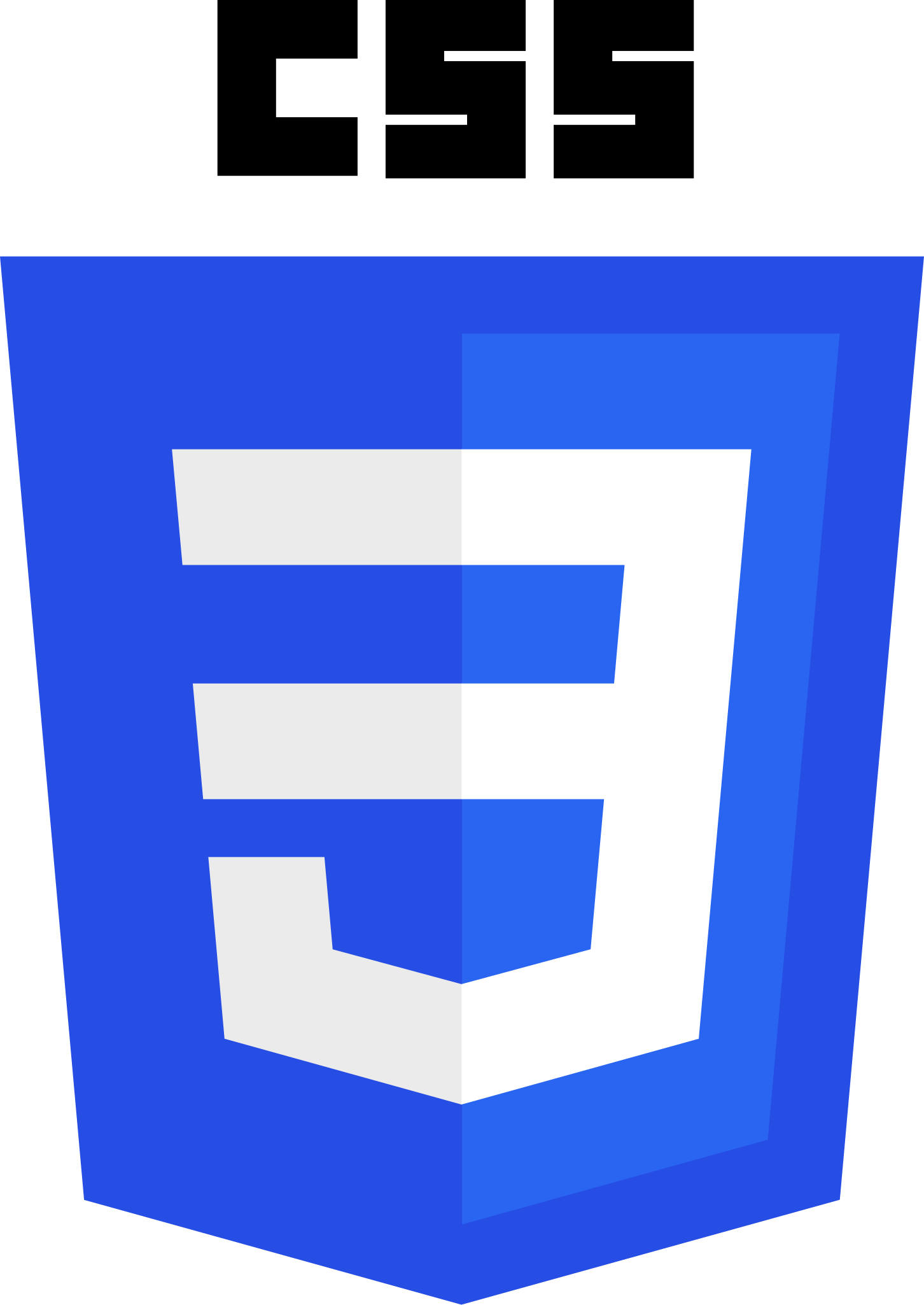 Picture with CSS3 logo.