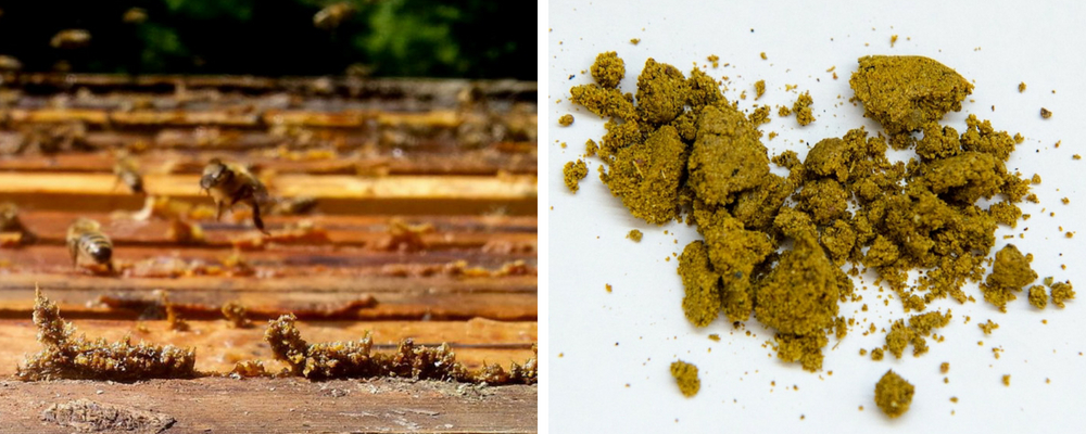 propolis