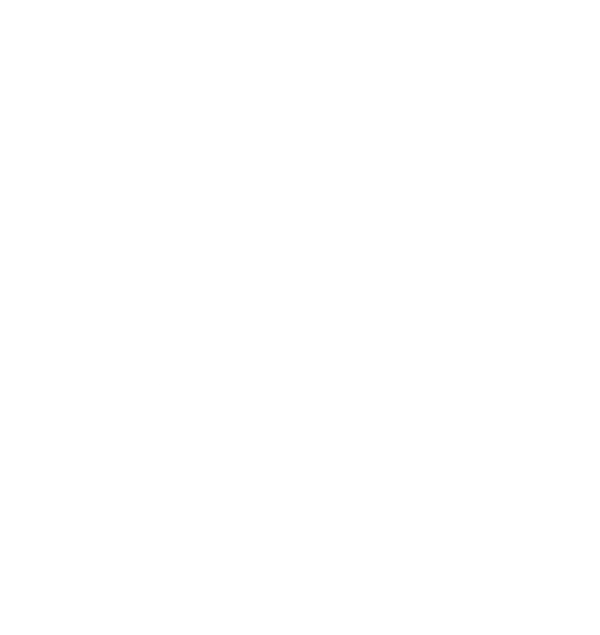Brion logo