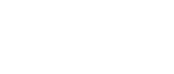 Dplus Kia logo