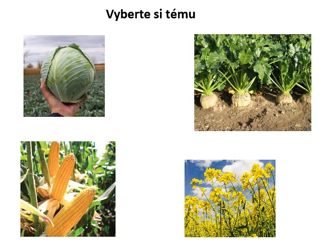 Mapa produktov