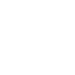 File Icon
