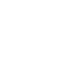 File Icon